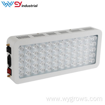 300W Led Therapy Lamp for Skin Beauty